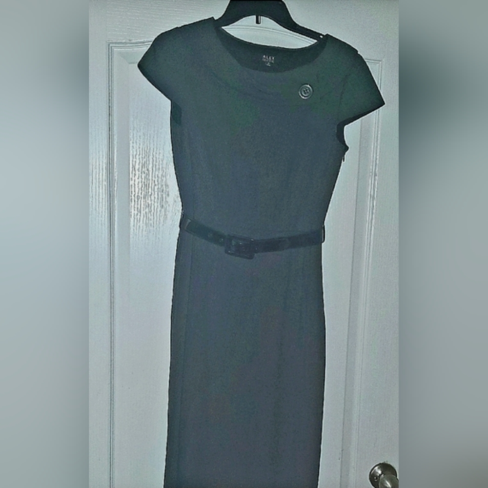 Alex Marie Chic Midi Dress with Belt Women's Sz 4